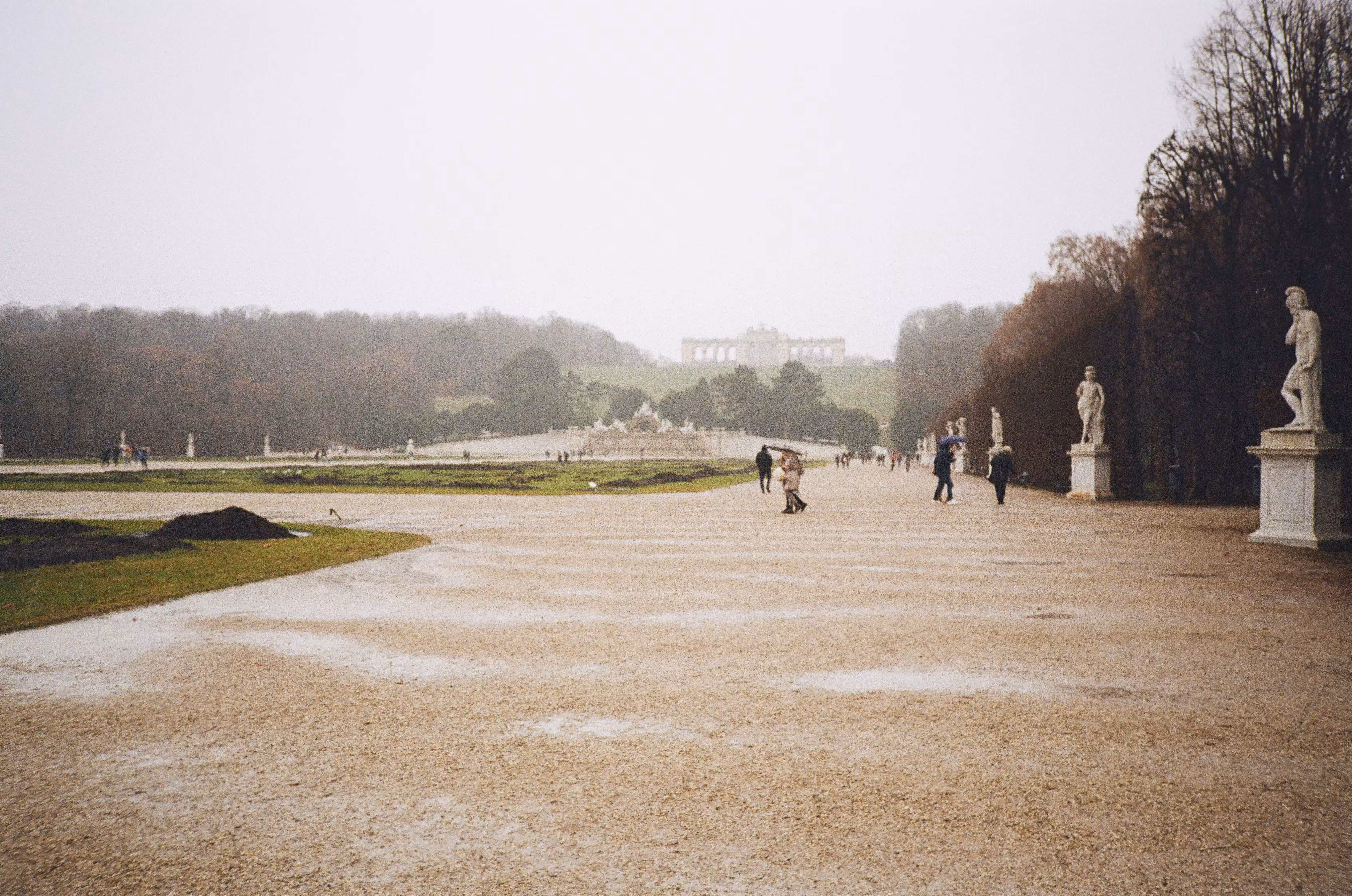 Vienna on film