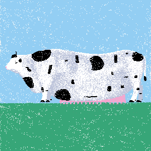 cow #71