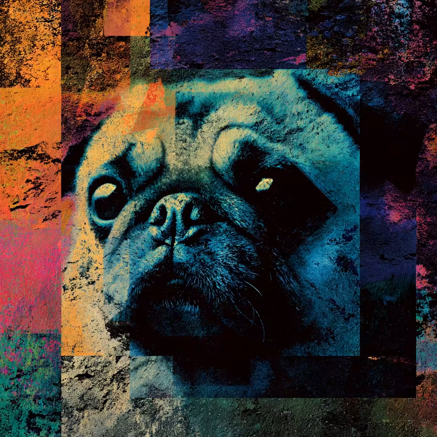 Motion Pugture #1