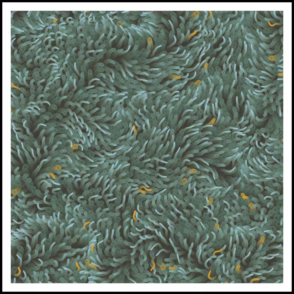 Studies of Motion  #4