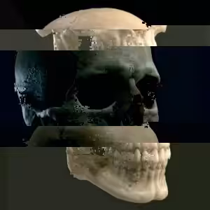 Glitched Skull #014