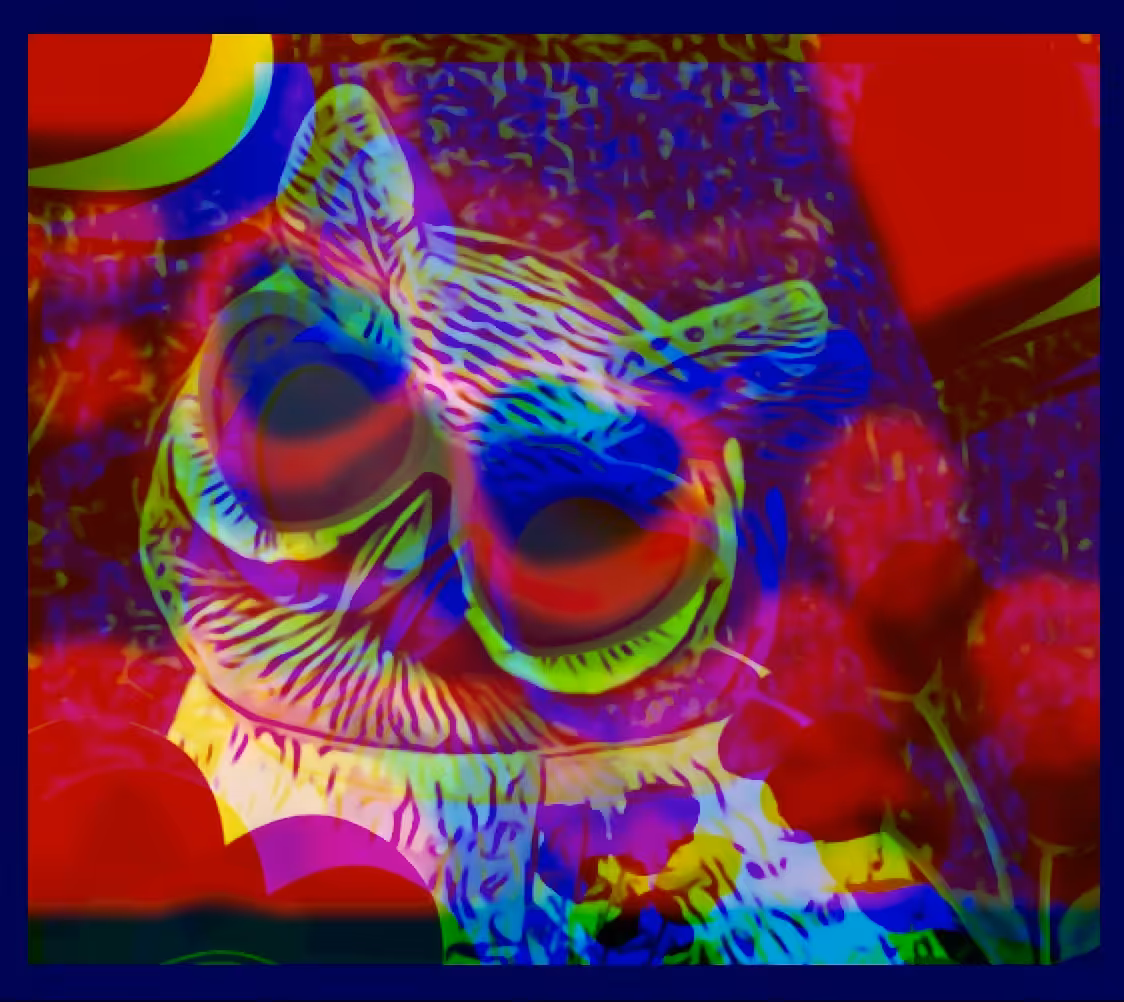 YARD OWLS - #15) "Dr. ROMEO"