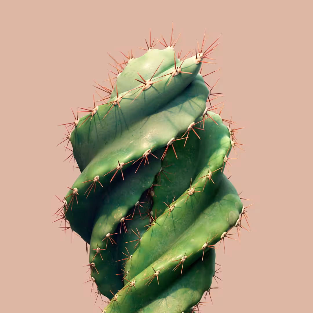 - Cactus Cuddle - 