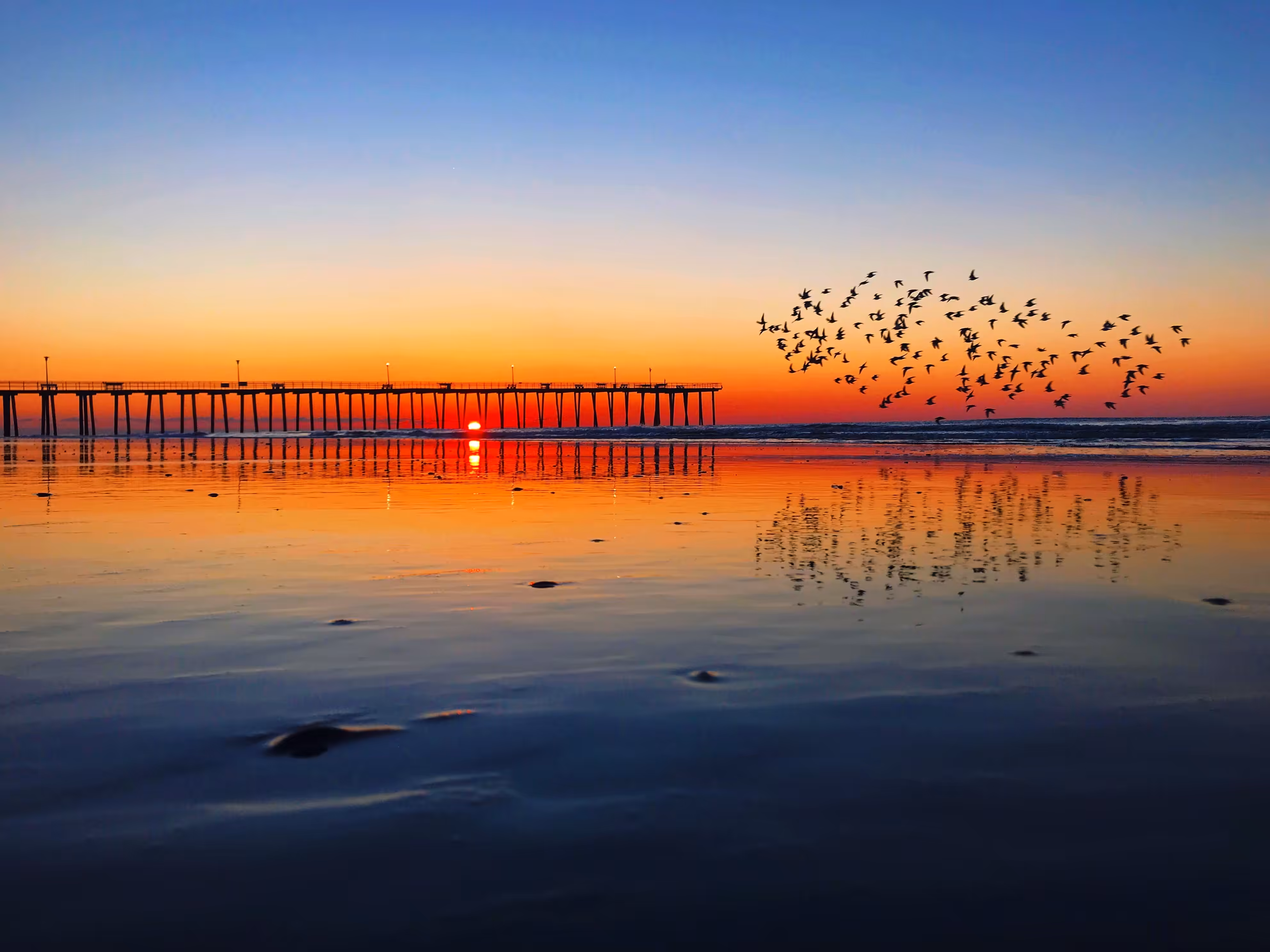 Pipers Over Pier