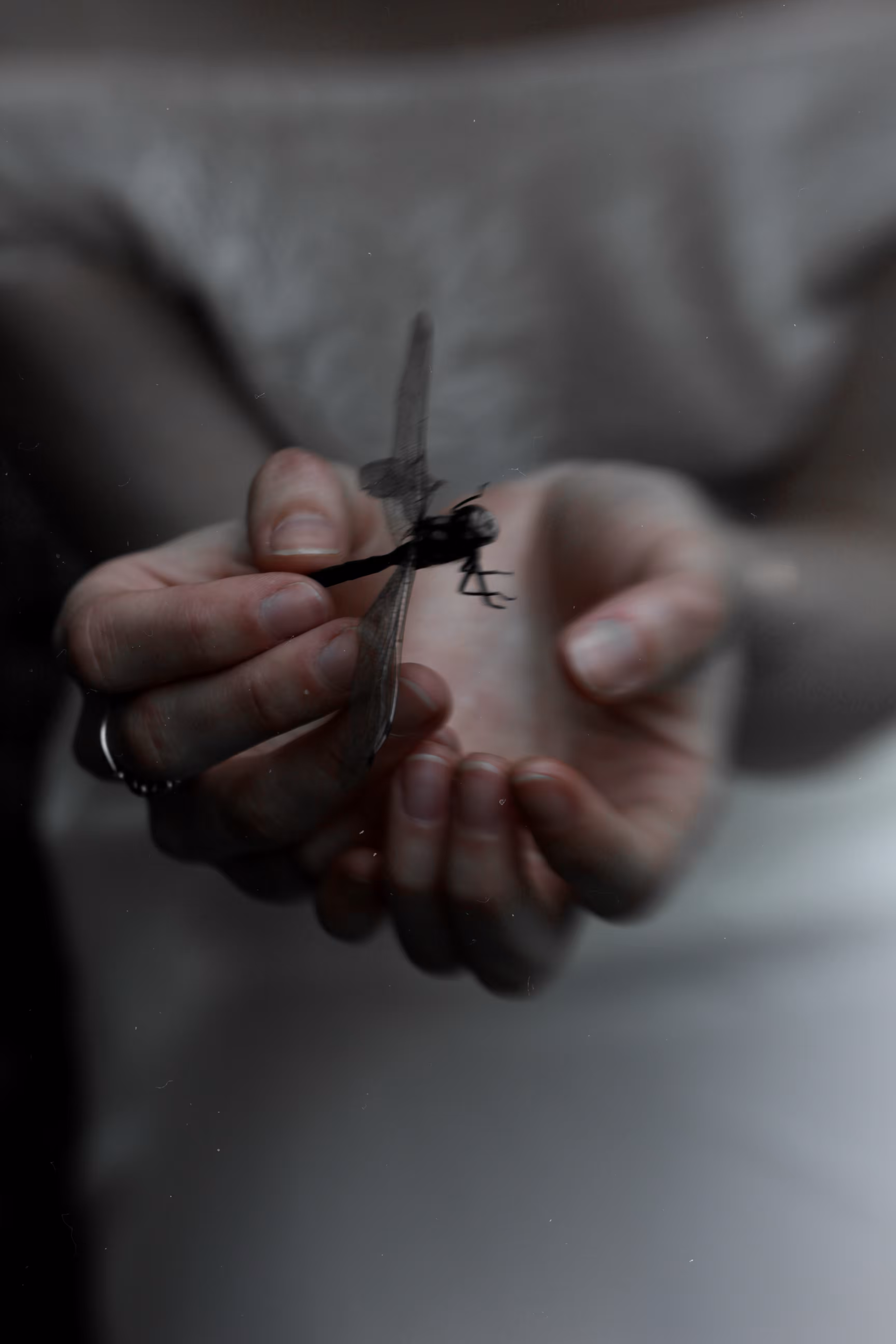 Fragility