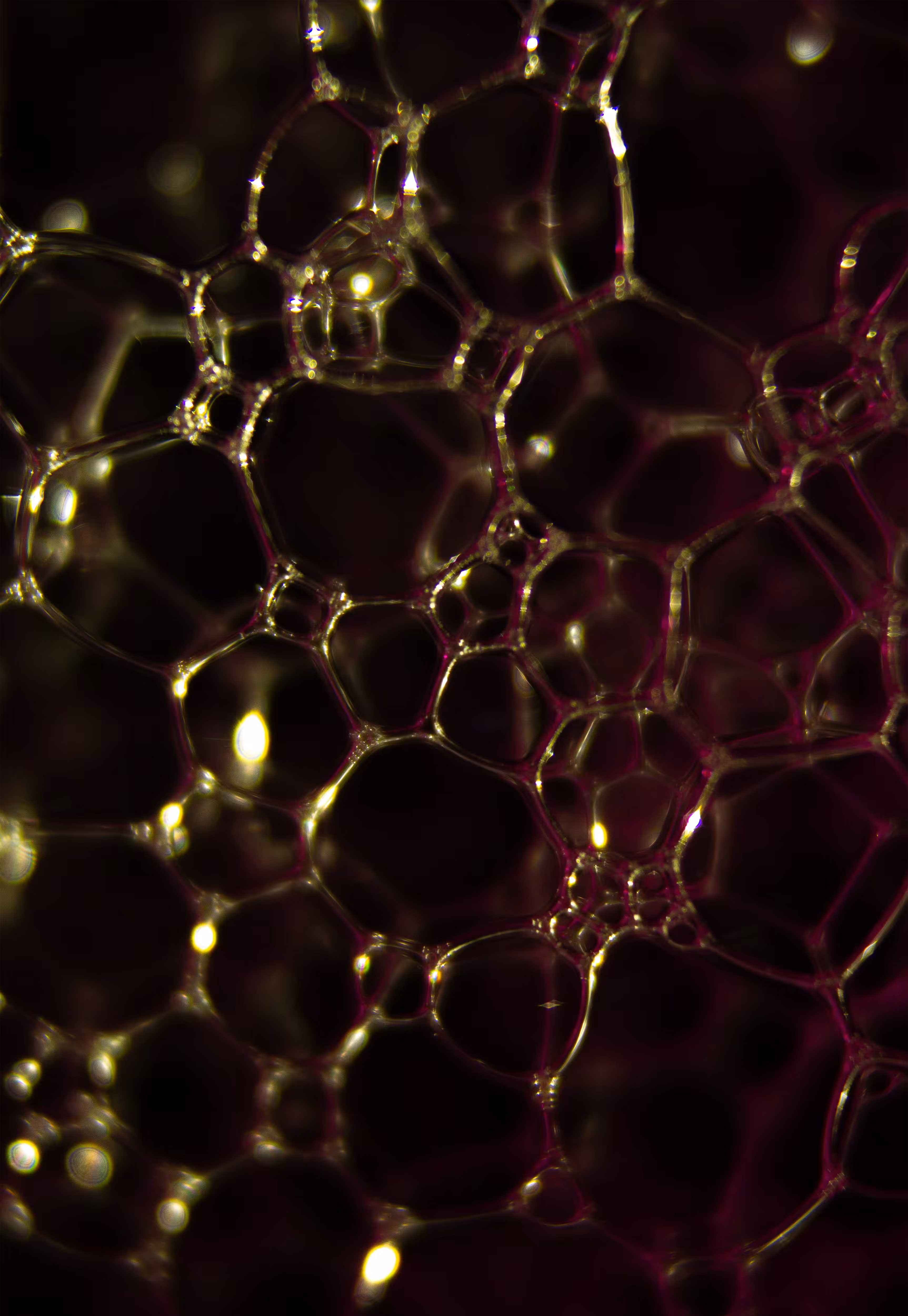 Abstract World of Soap Bubbles: #123 Bubbles