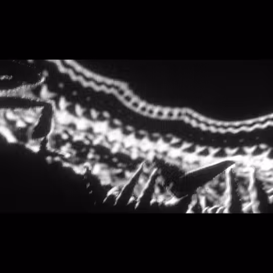 fractaldance