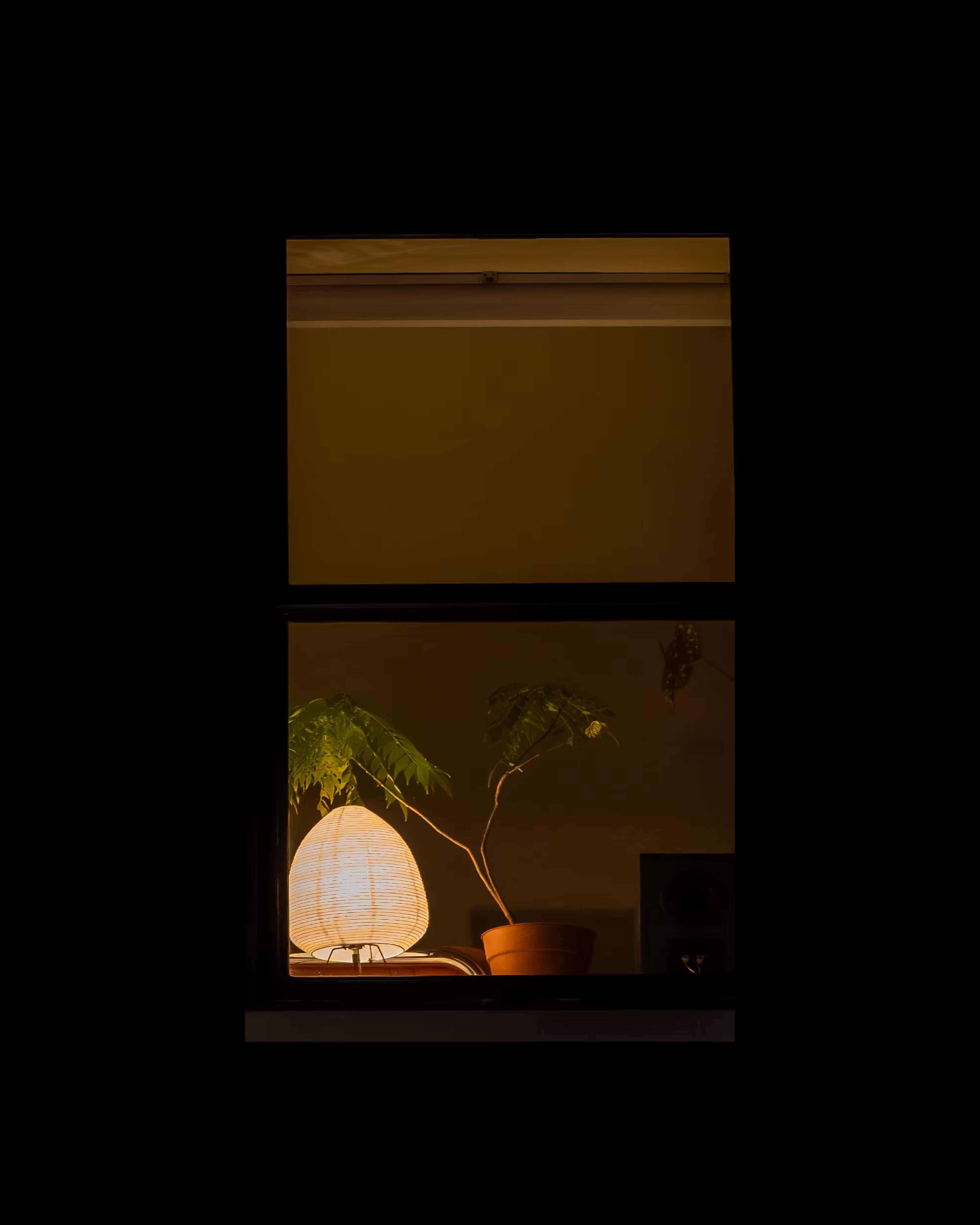 WINDOW 758