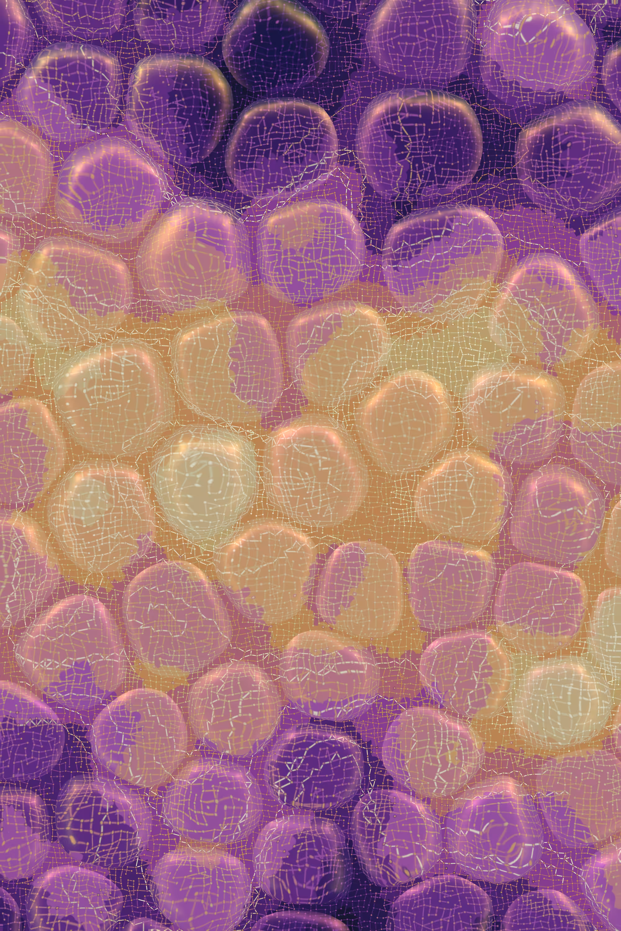 Vitreous #53