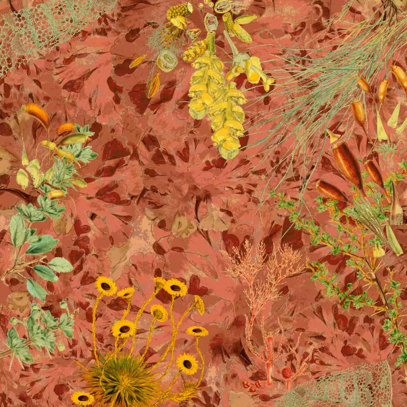 future flora from Antarctica's past #61