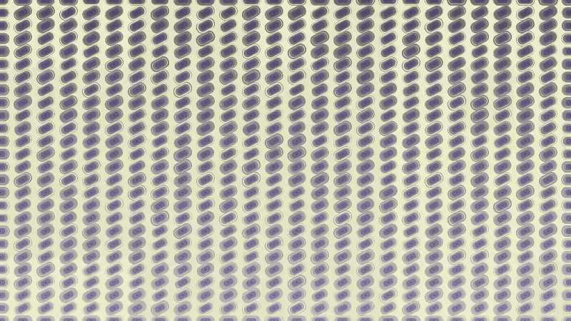 Polka #287