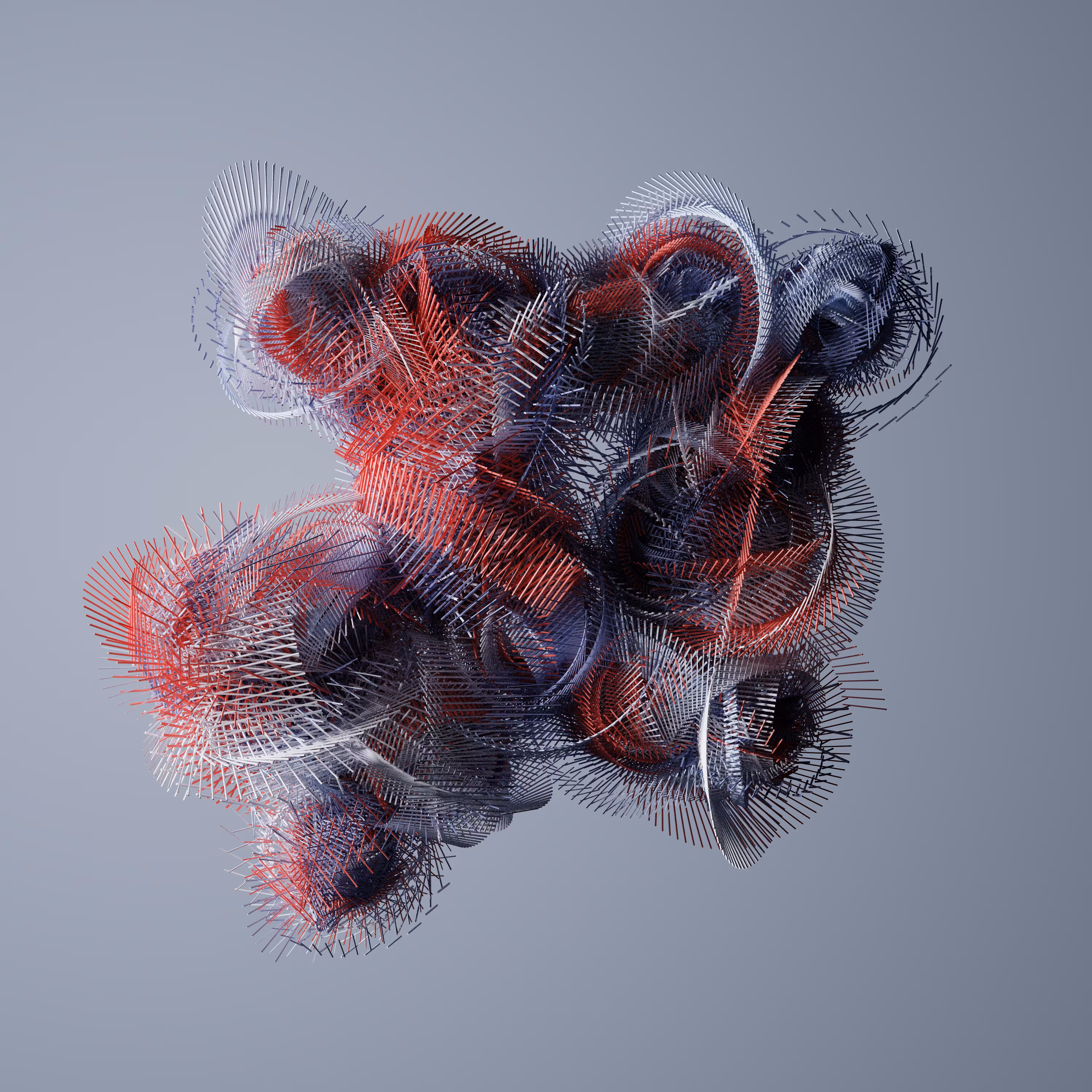 Dissected Shells No. 1