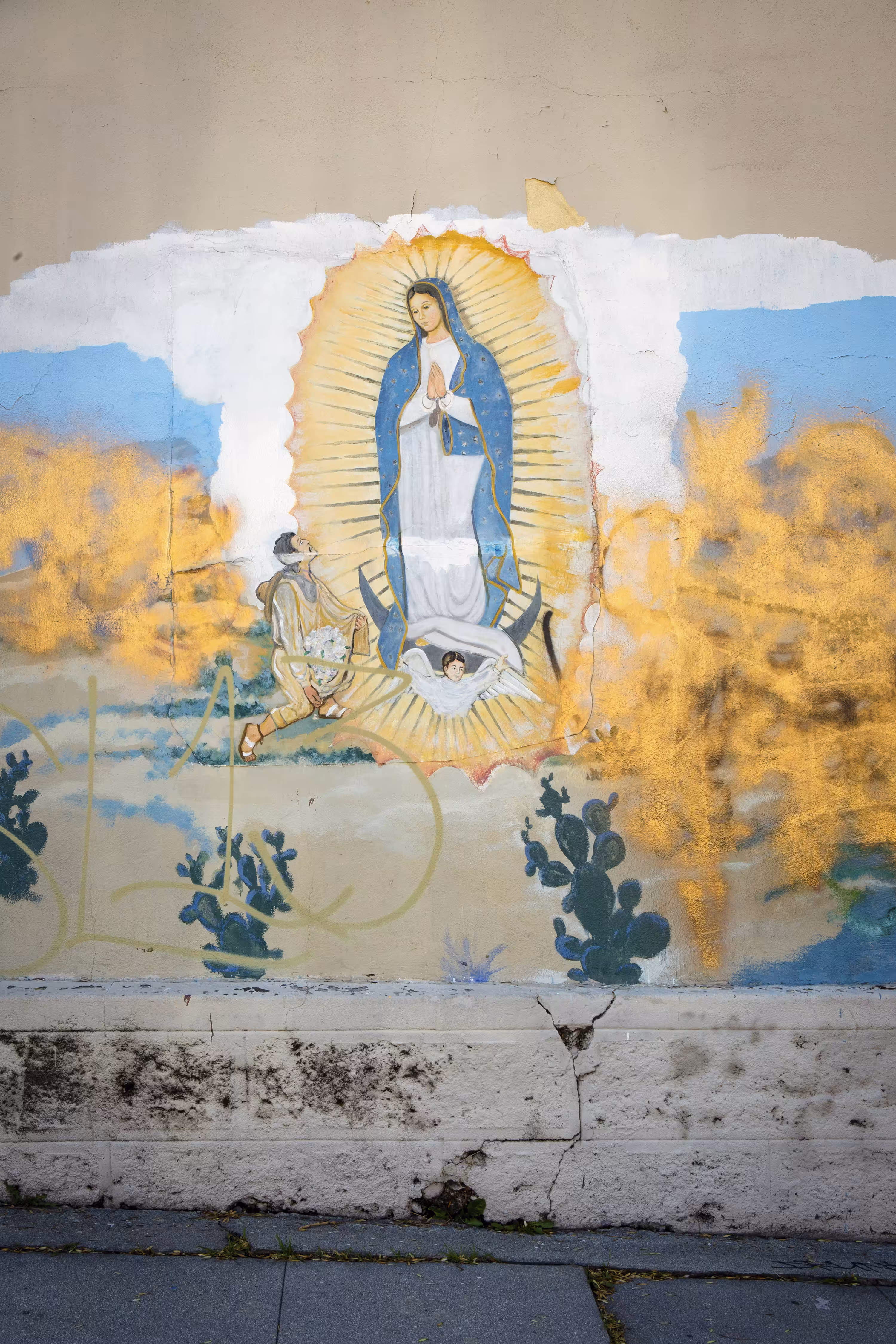 Guadalupe - East LA Apparition