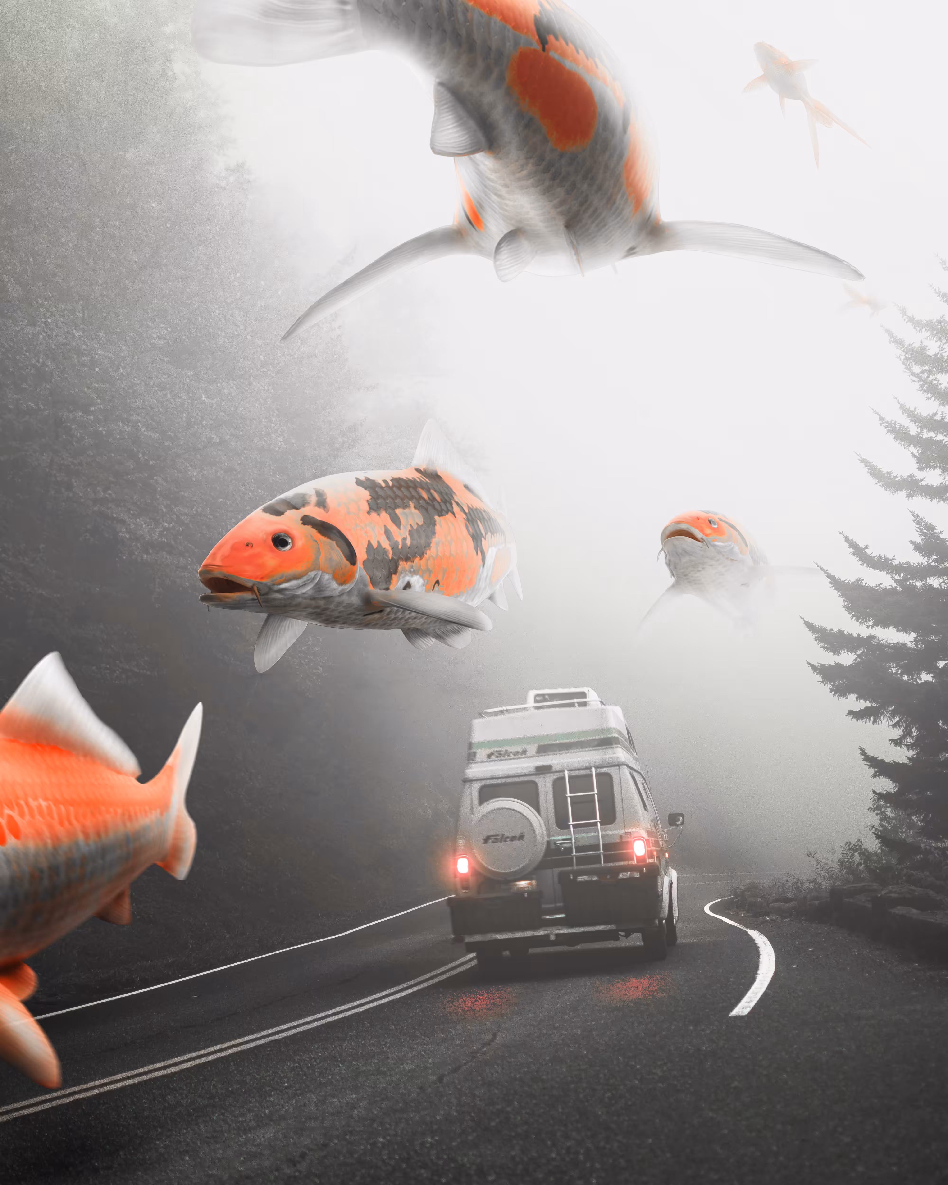 Fish-Highway