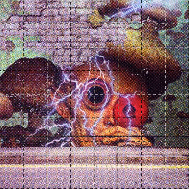 BLOTTER #102