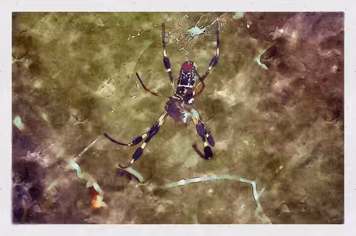 Watercolored Photography: Watercolored 071