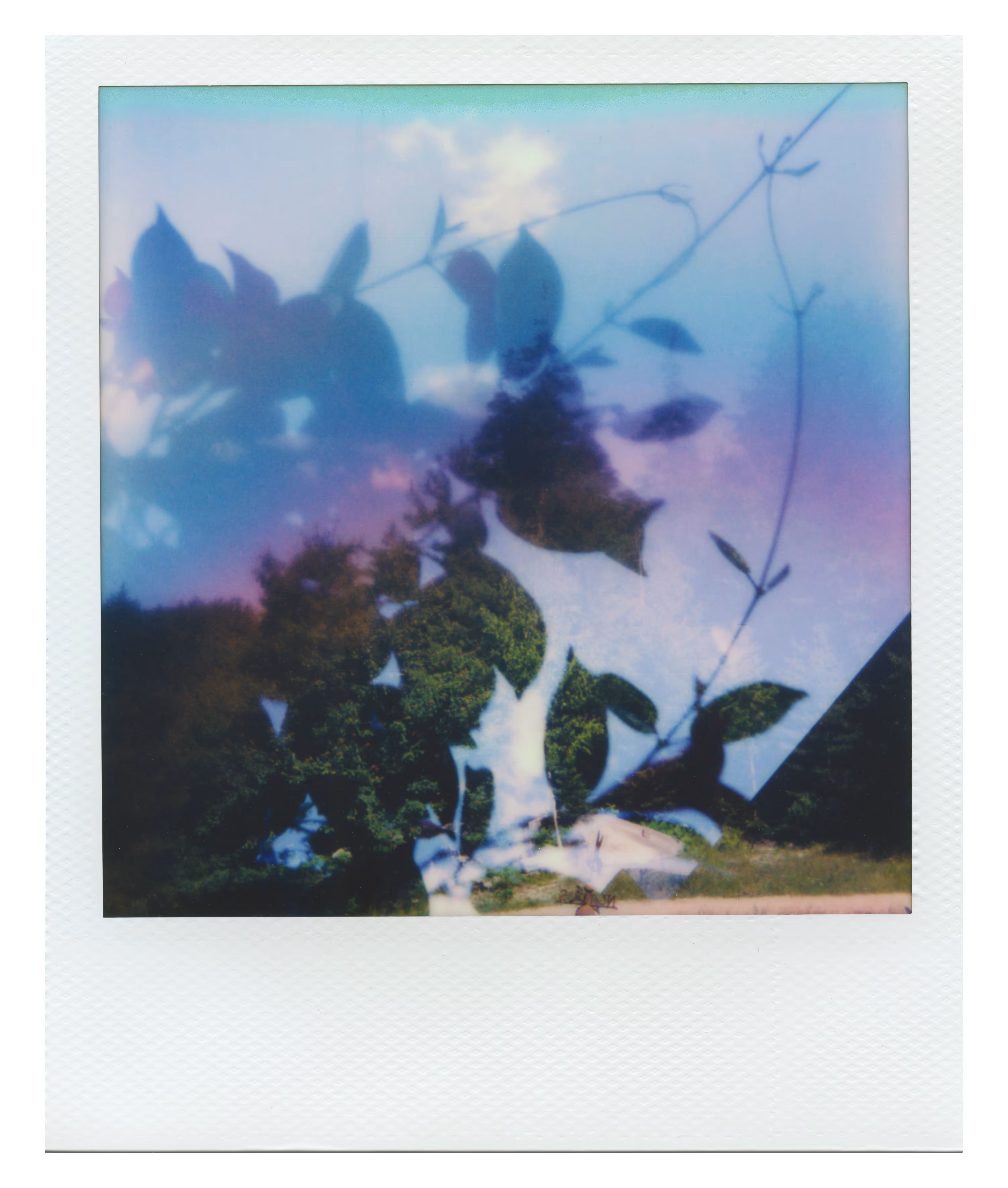 Endless Summer  |  11  | Manifestation