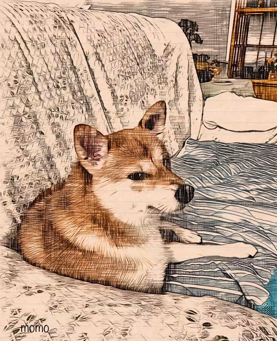 Shiba Inu #003