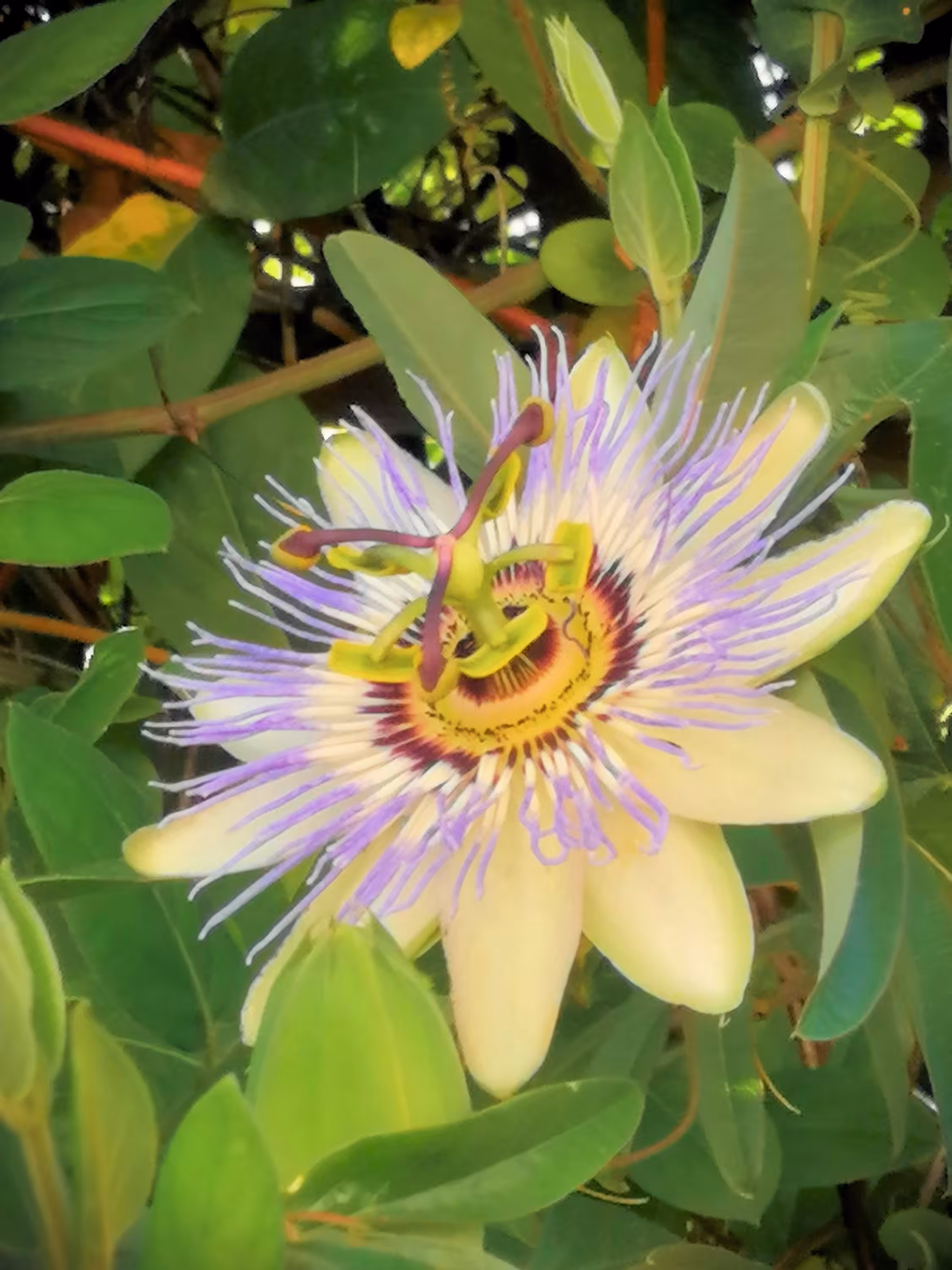 Happy face! 