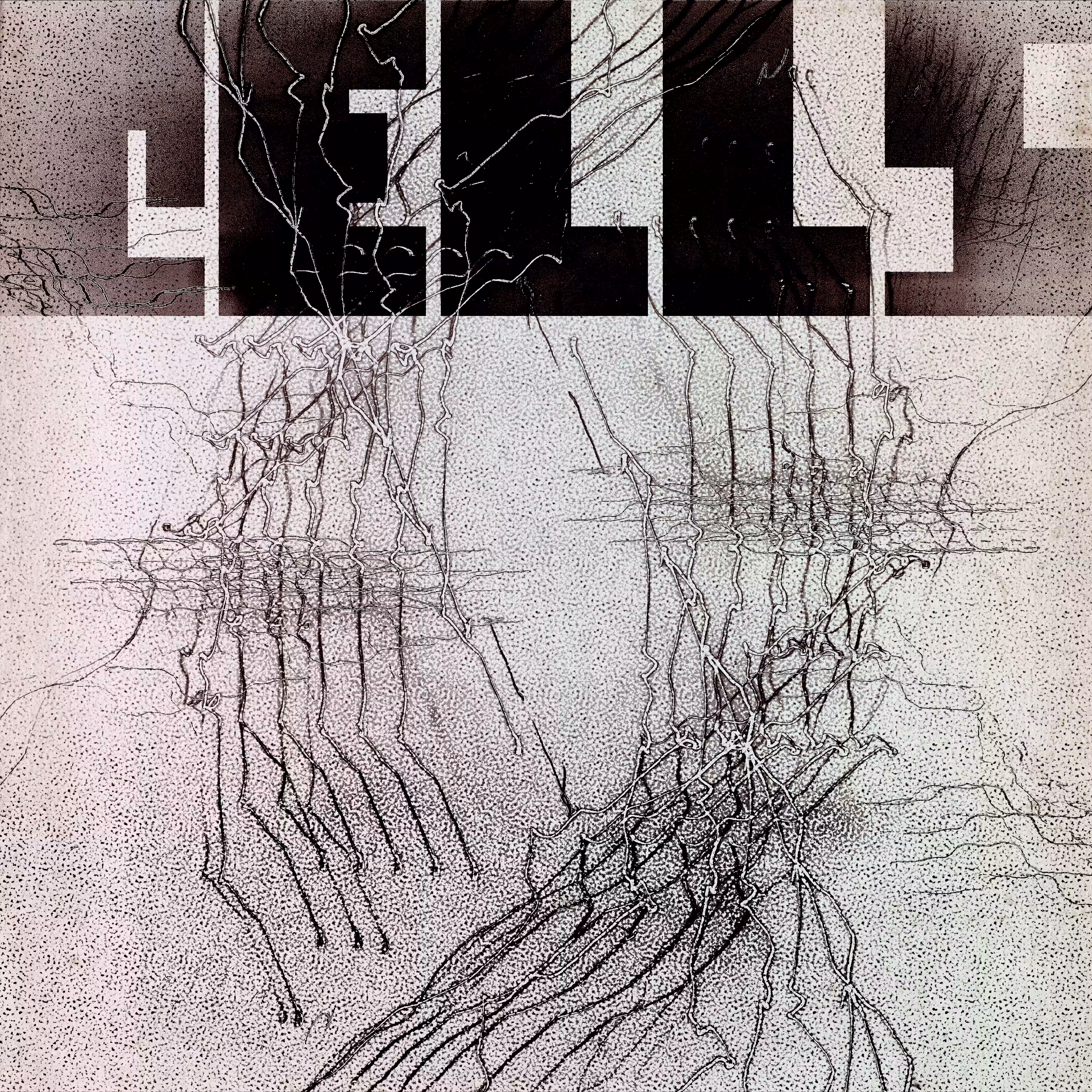 cells