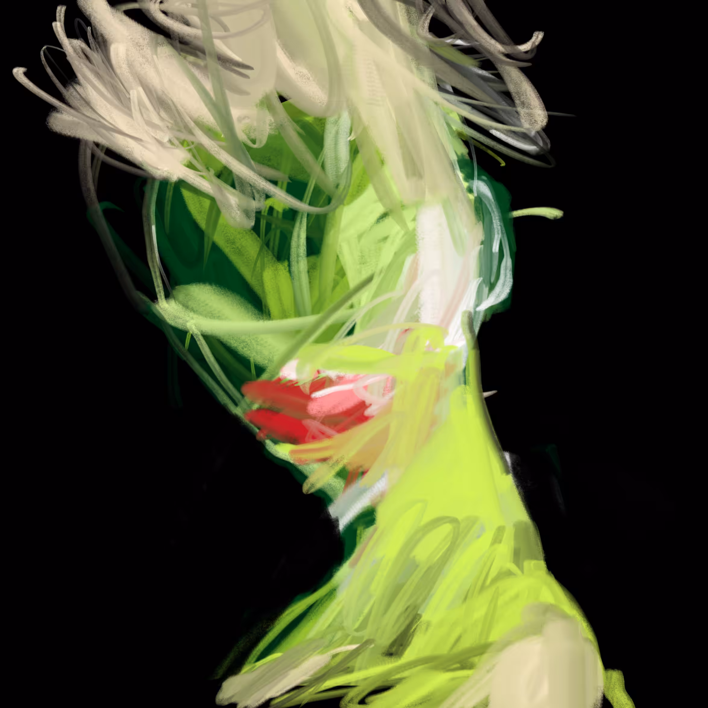 Chest