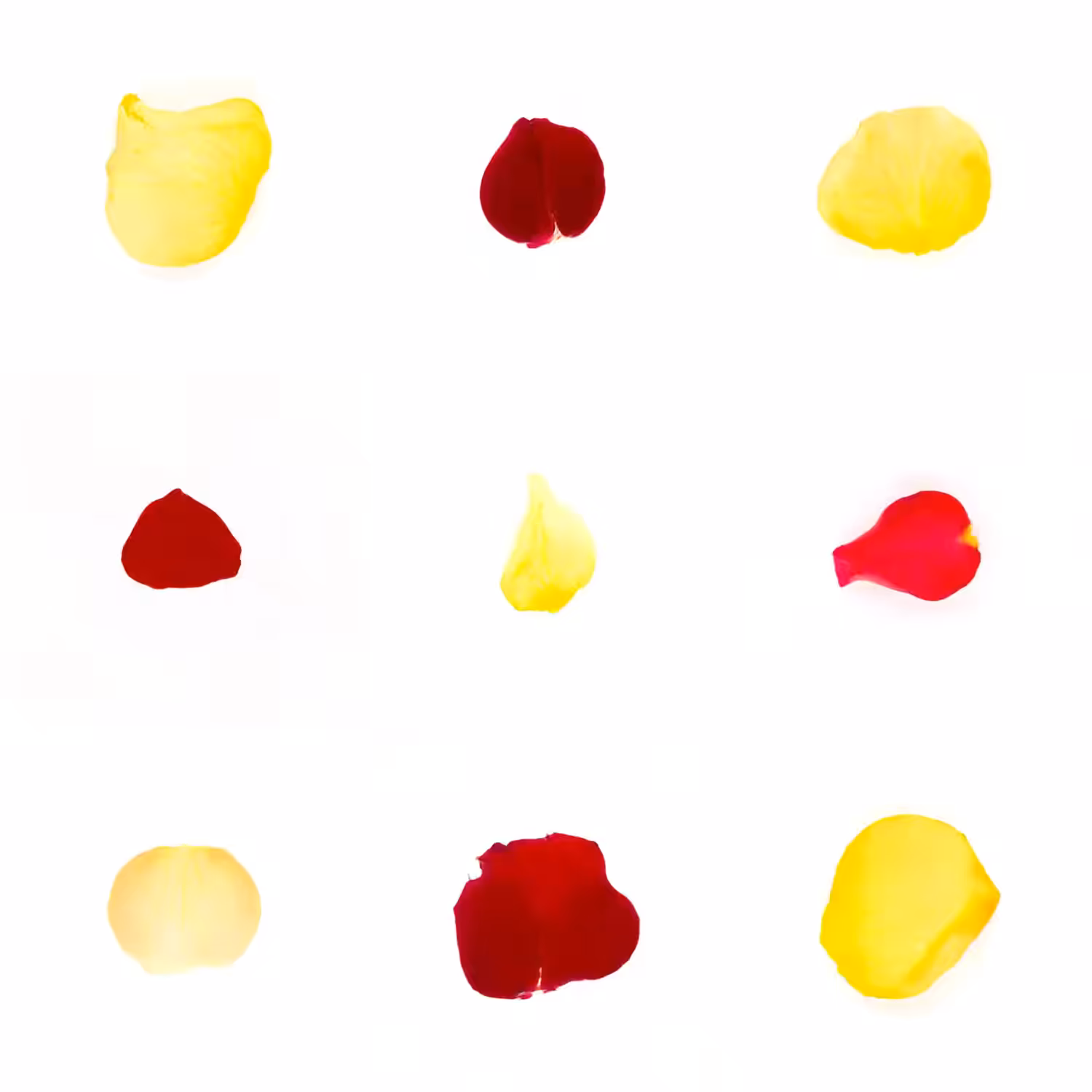 Infinite Petals 3x3#3352