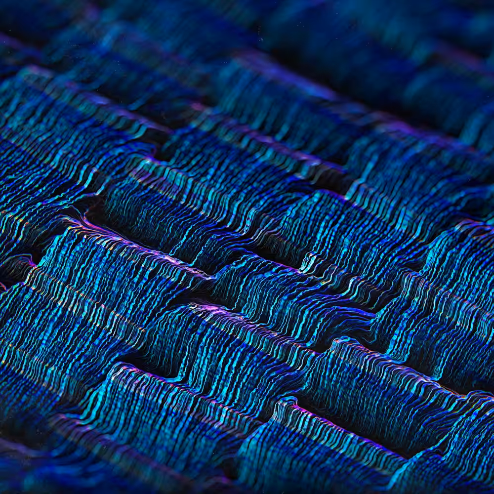texture fill