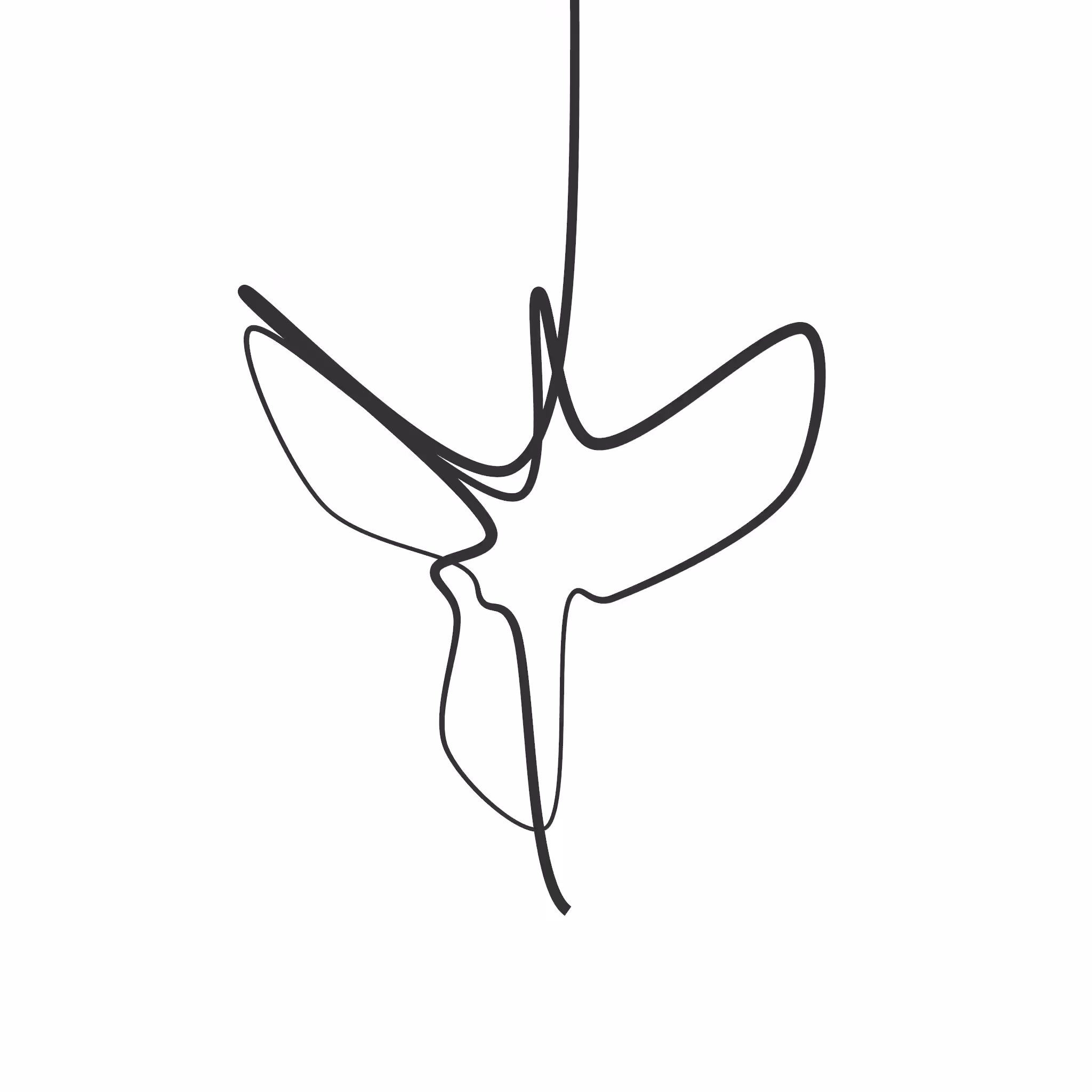 Signature: Angel