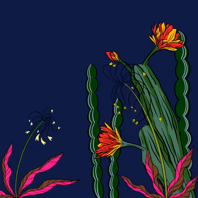 Desert Exuberance #5