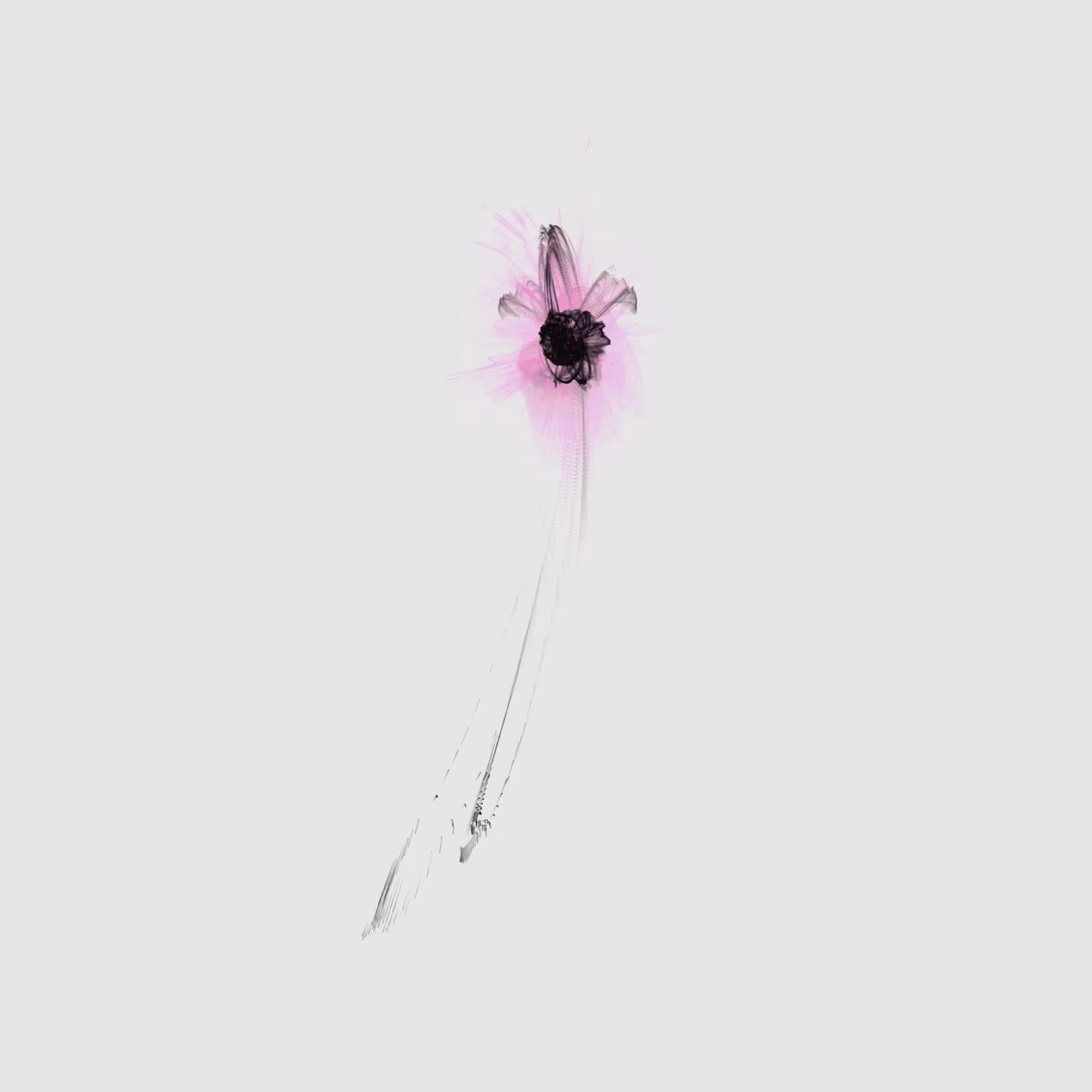 cosine flower 1.1