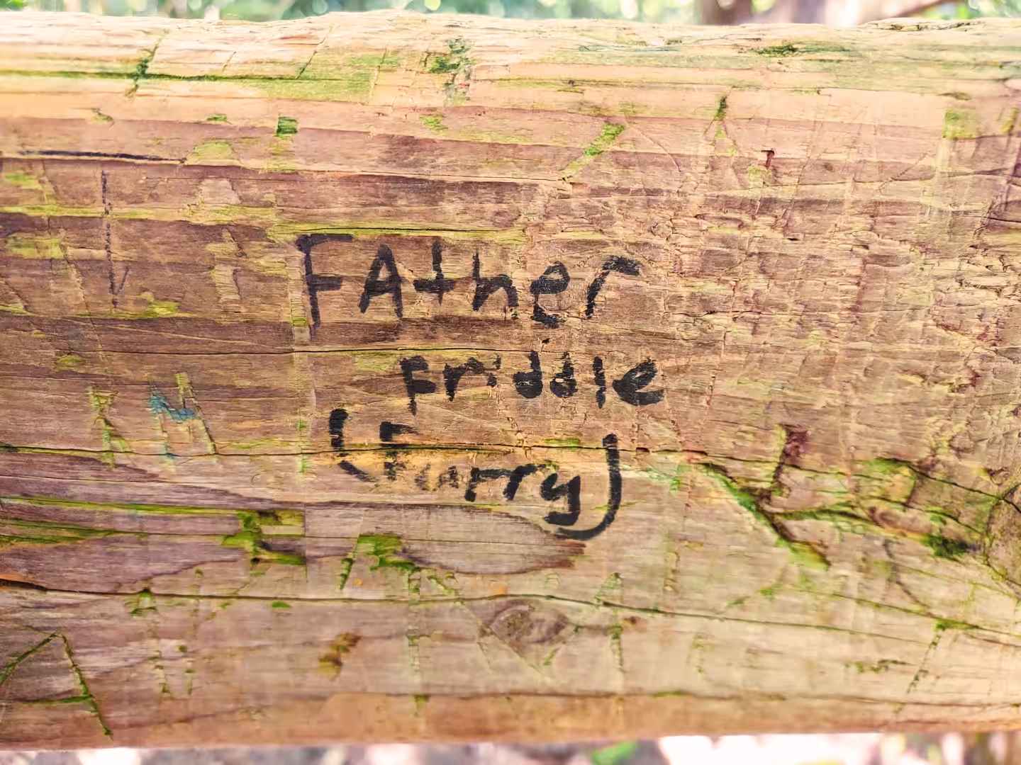 #001 Father Friddle