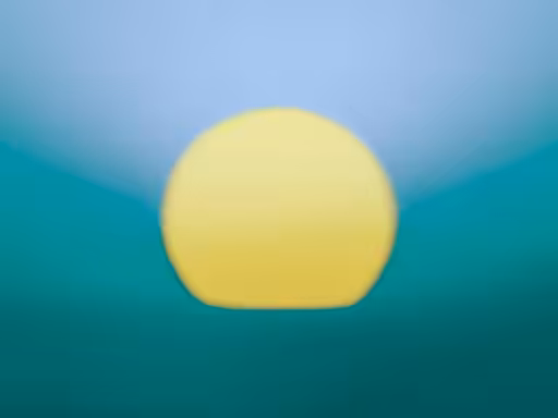 GM Sunshine No49