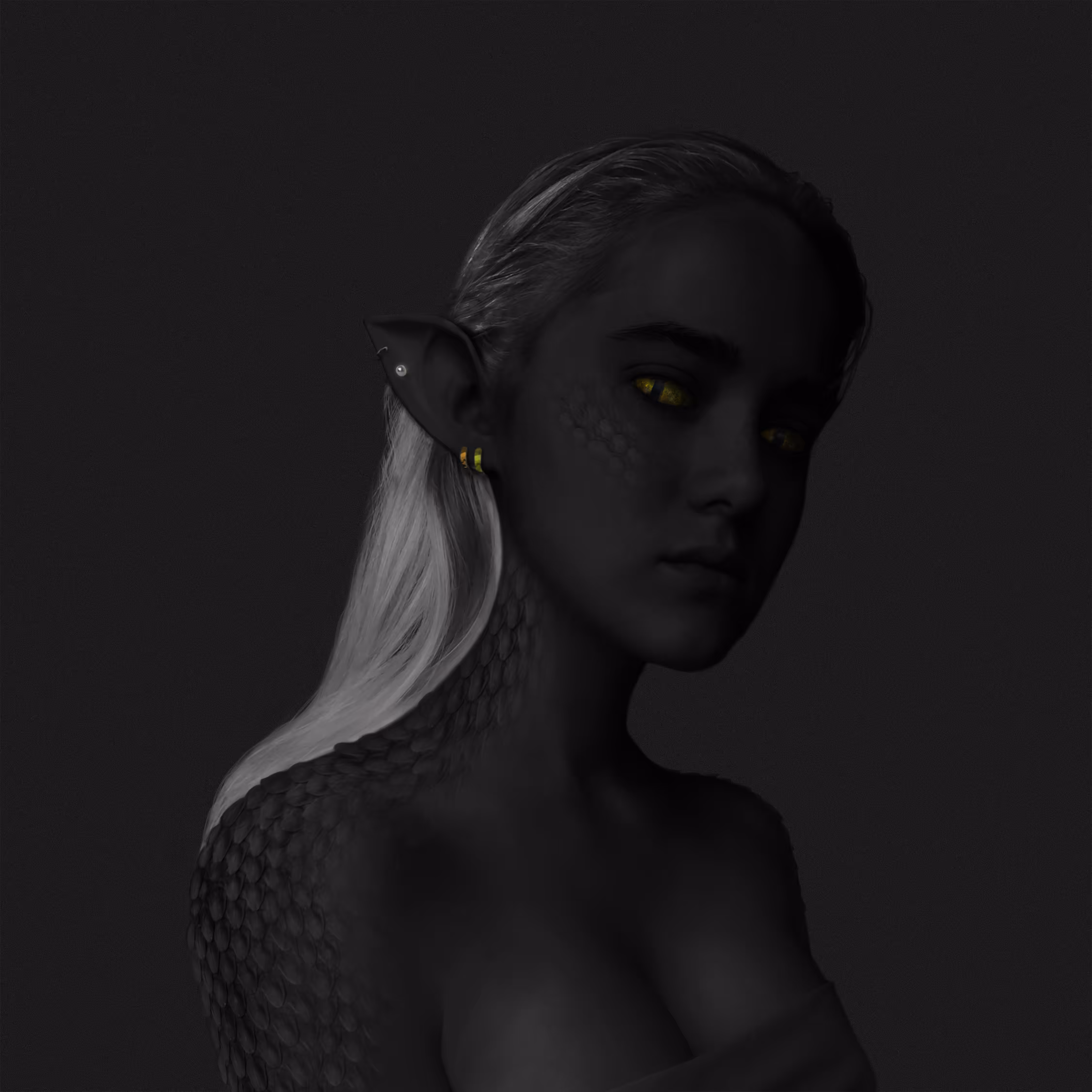 BLACK ASPID