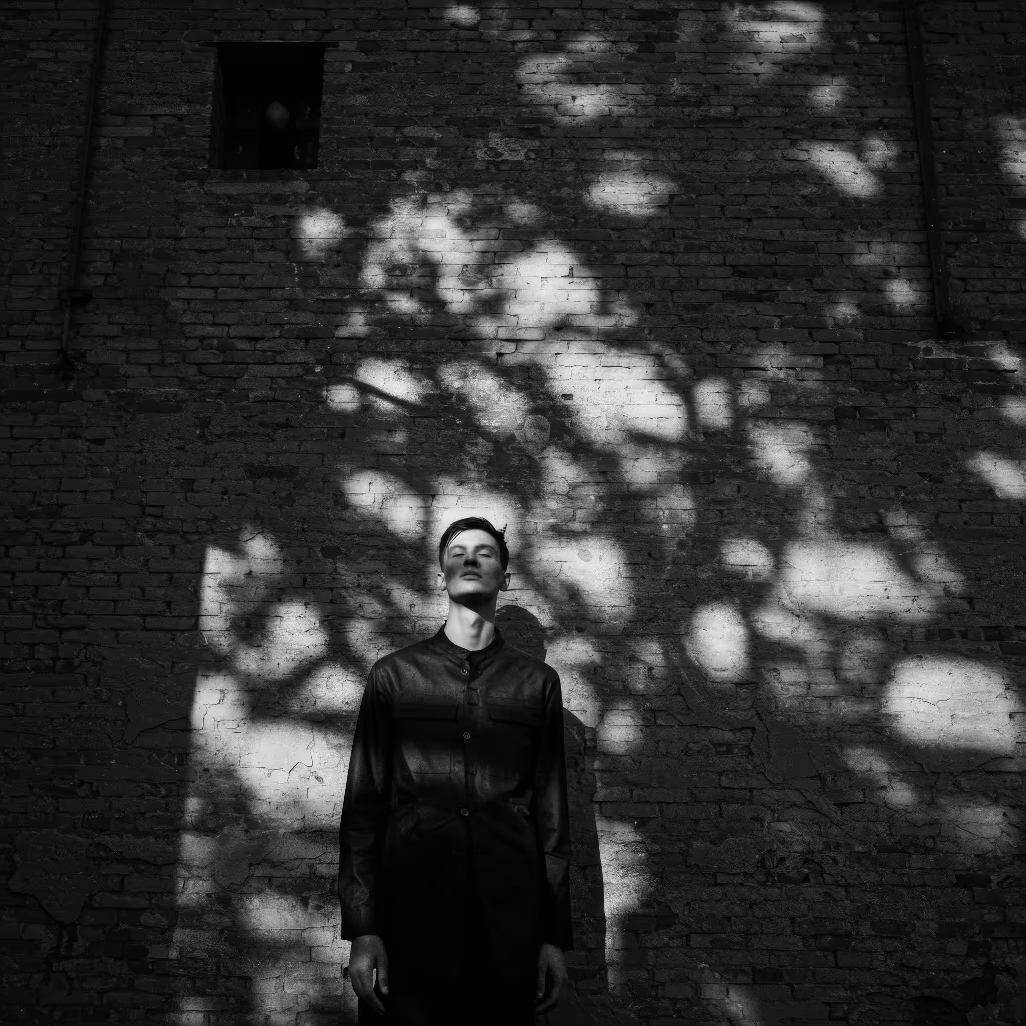 Summer Shade 8