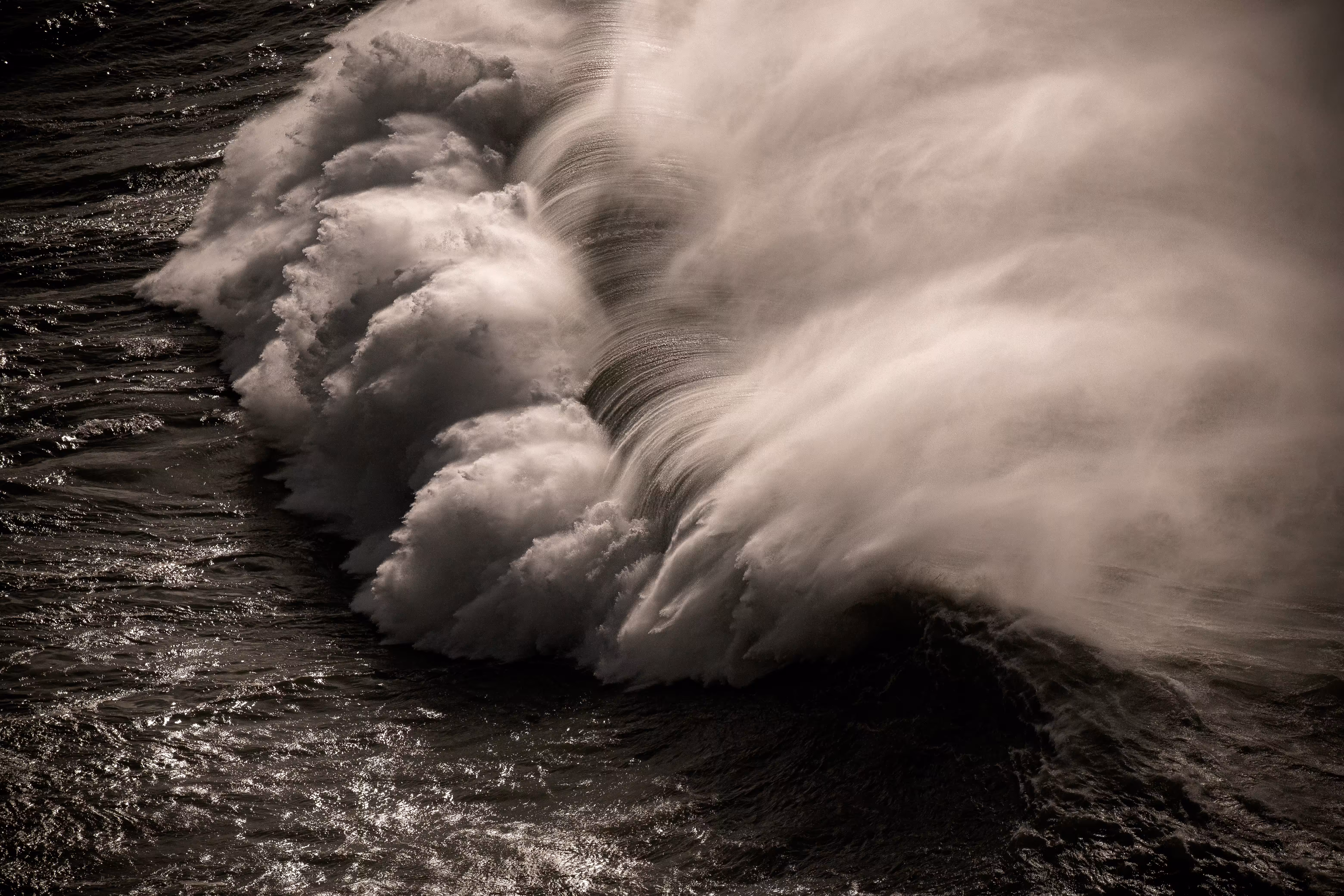 The journey of an 'Ocean Giant'