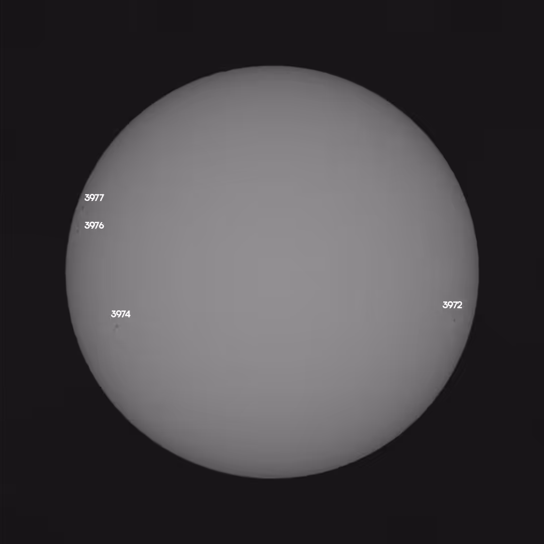 #319, 28/1/25