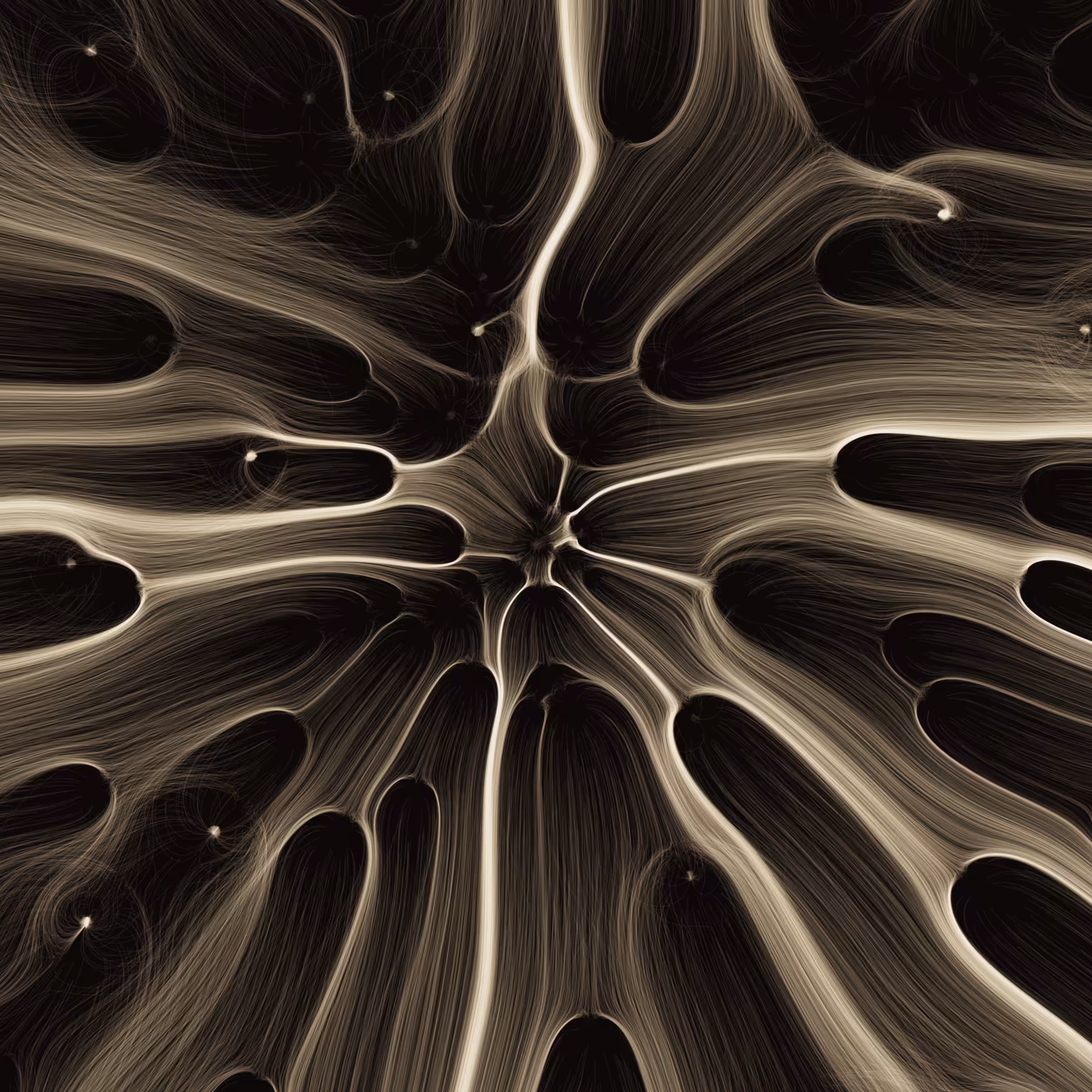 Gravity 16 #606