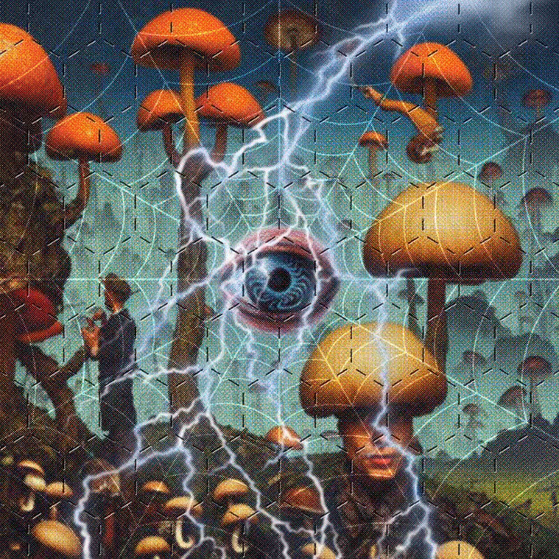 BLOTTER #43