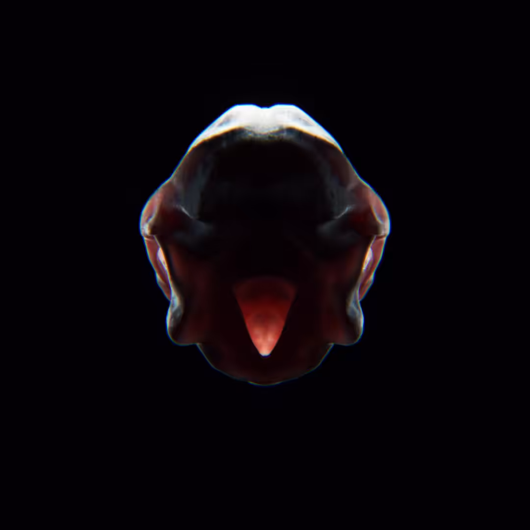 Burning Remnant I