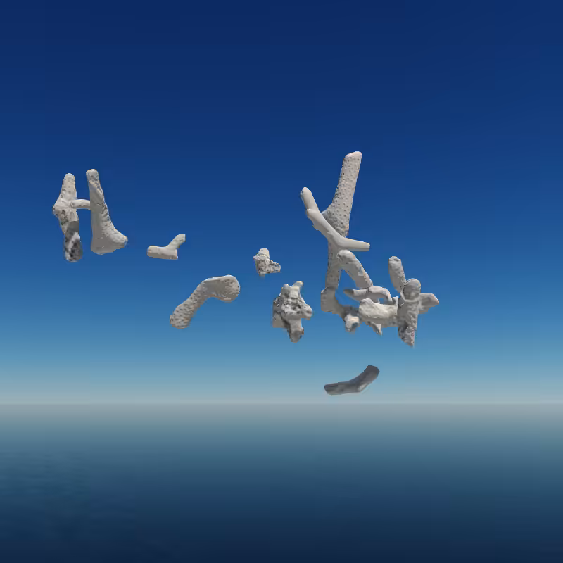 Bone Work (Gulf of Mexico) 2022 #35