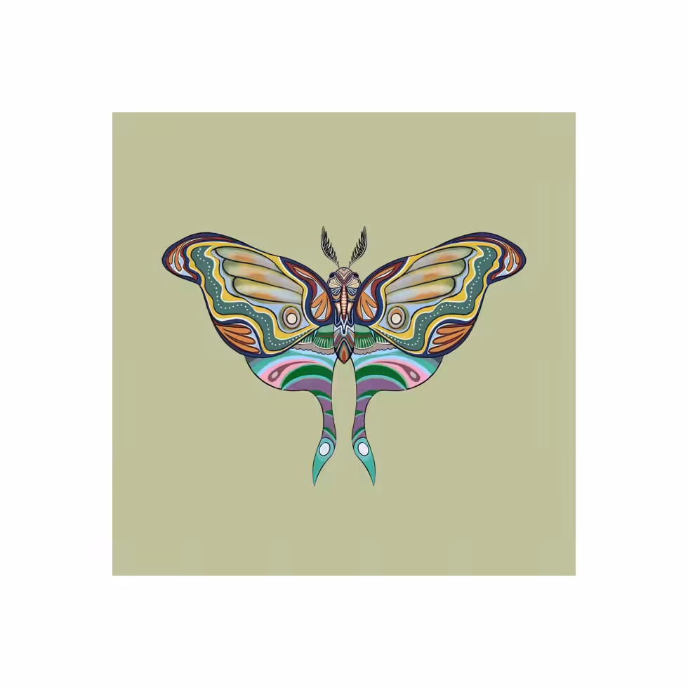 The Moth Experiment  #38