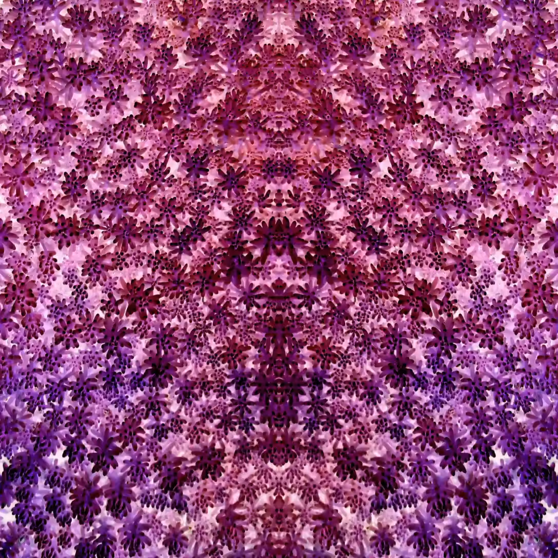 Trip Big 1-21