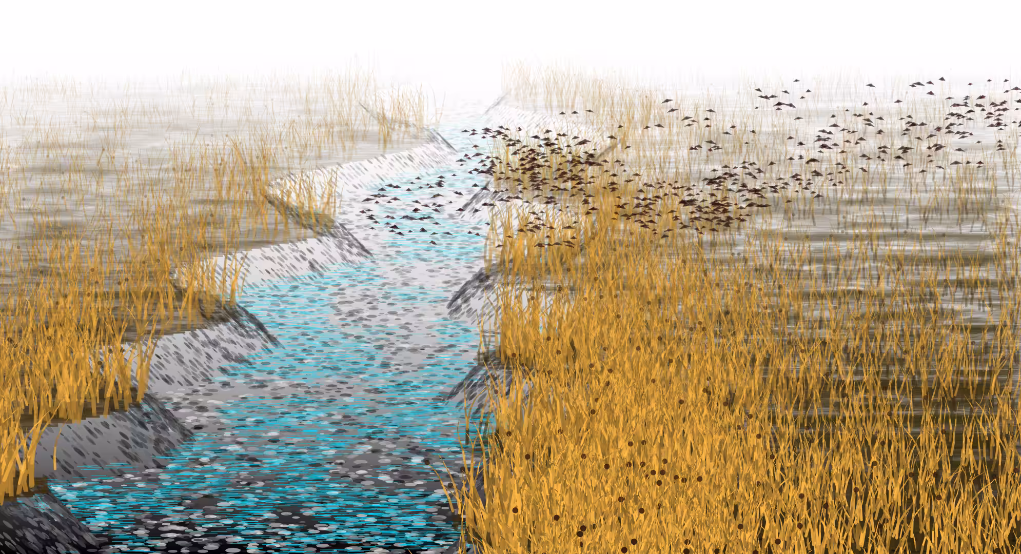 Wetlands #22