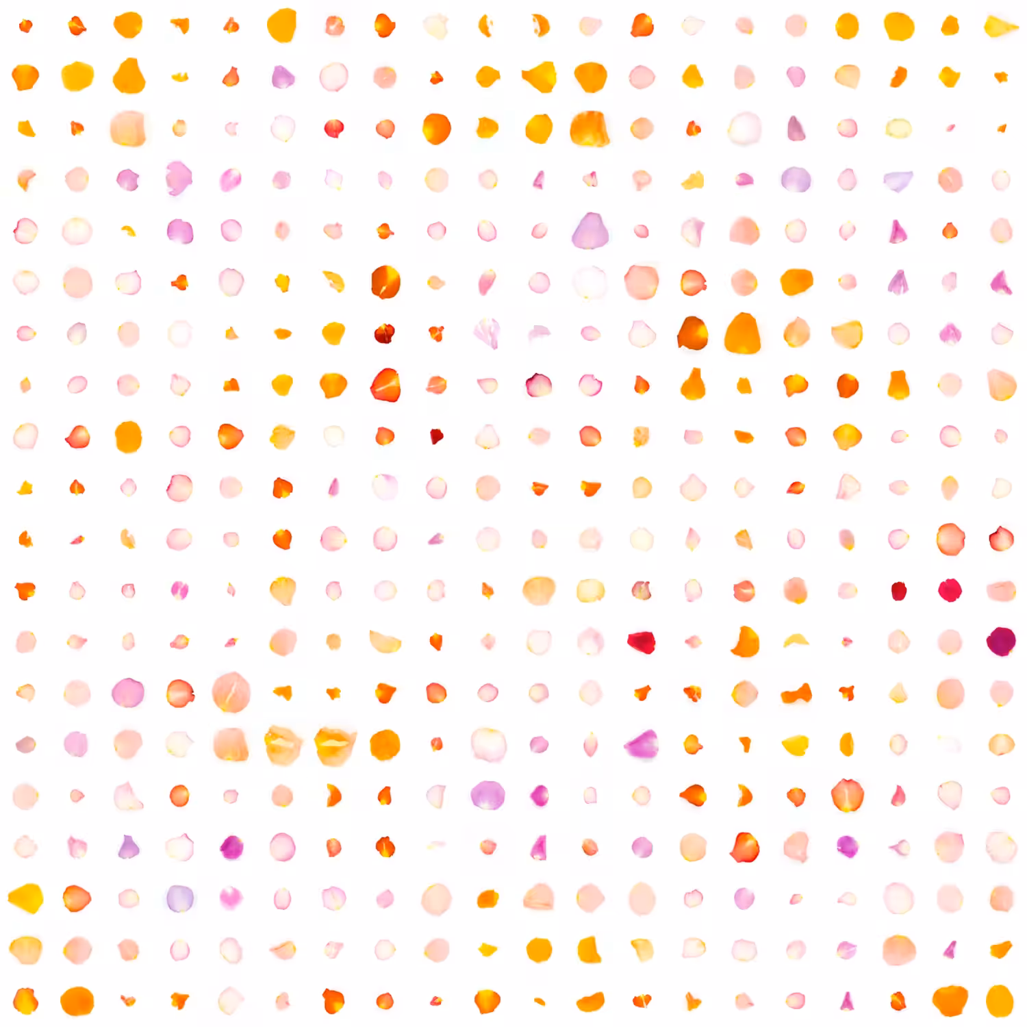 Infinite Petals 20x20#1921