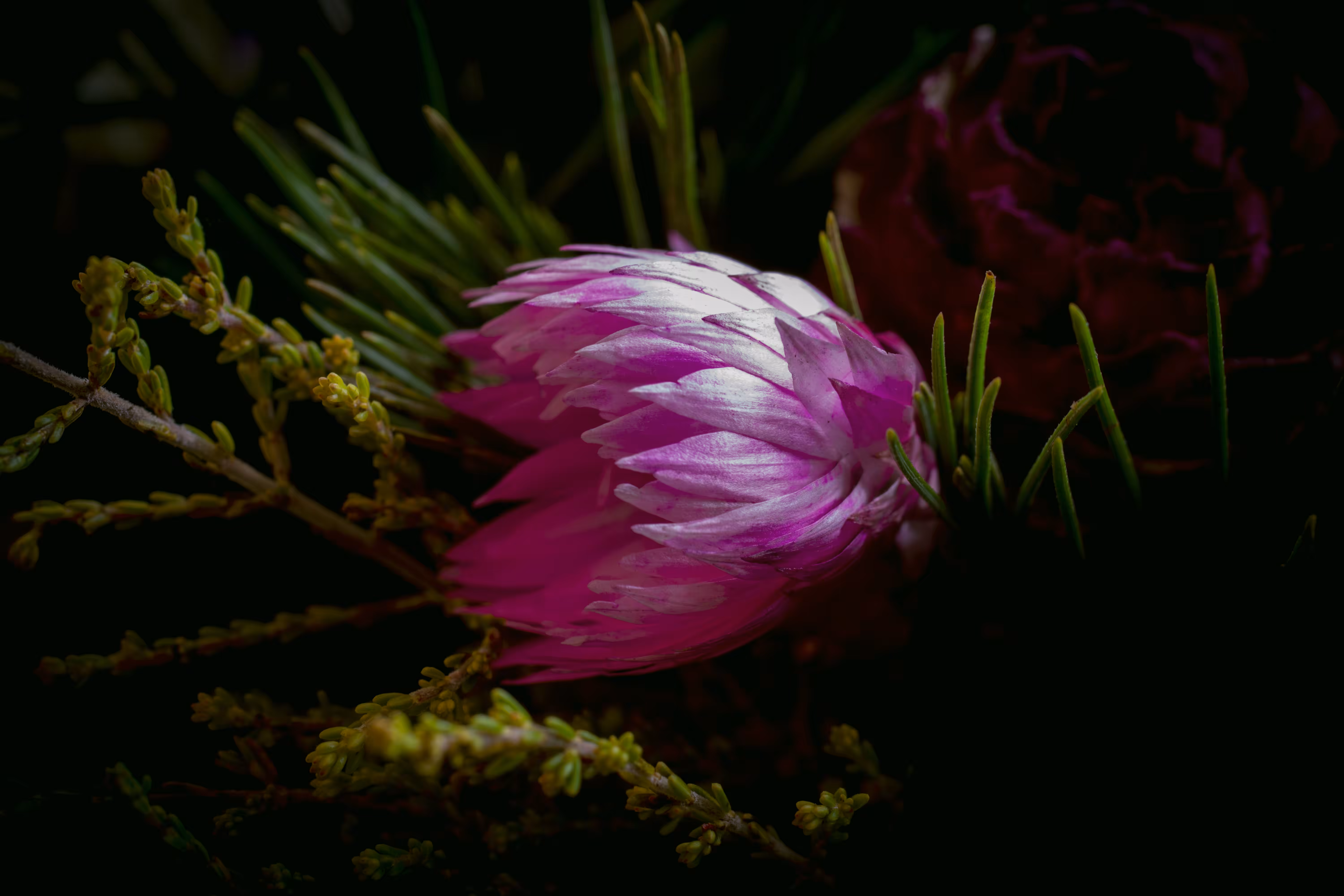 In the Bouquet