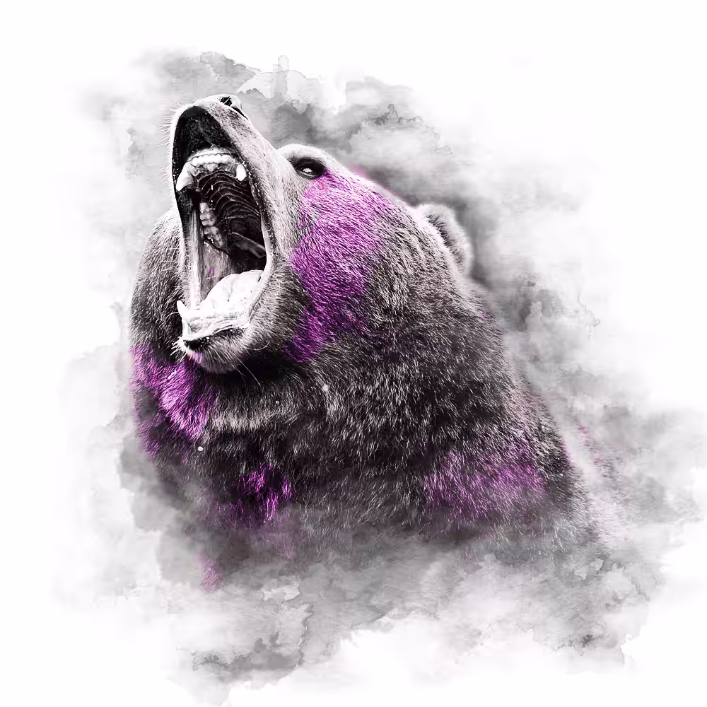 PINK SERIES - BEAR