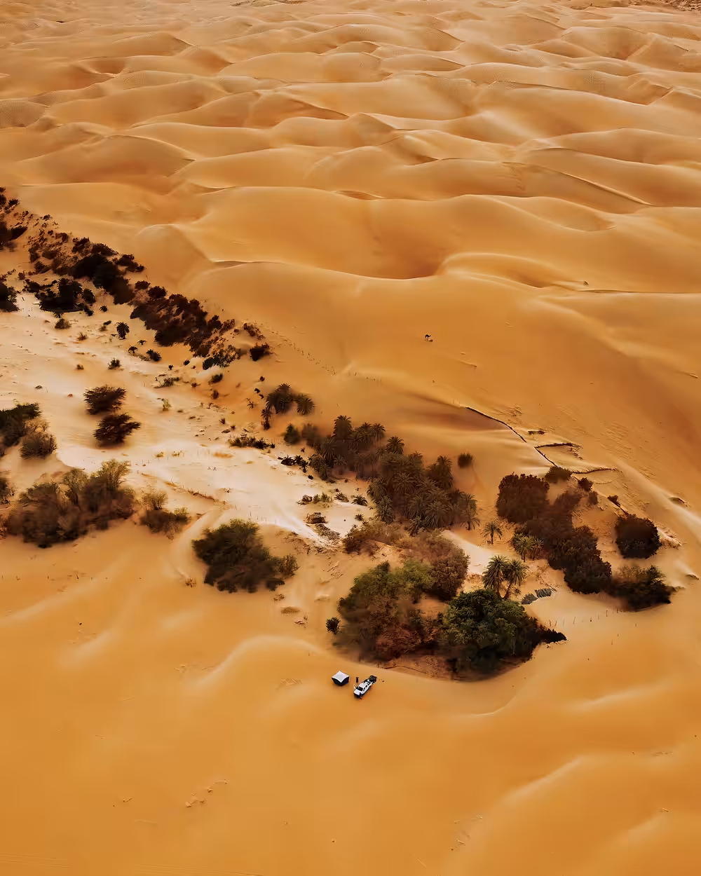 Camping in a River of Dunes