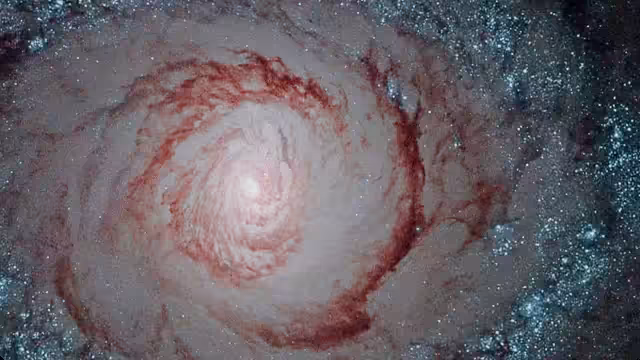 HeavenComputer: ≢√≷⋃≽⋷⦱⍔⫀⫾⫼⦻∷◂ #1000574