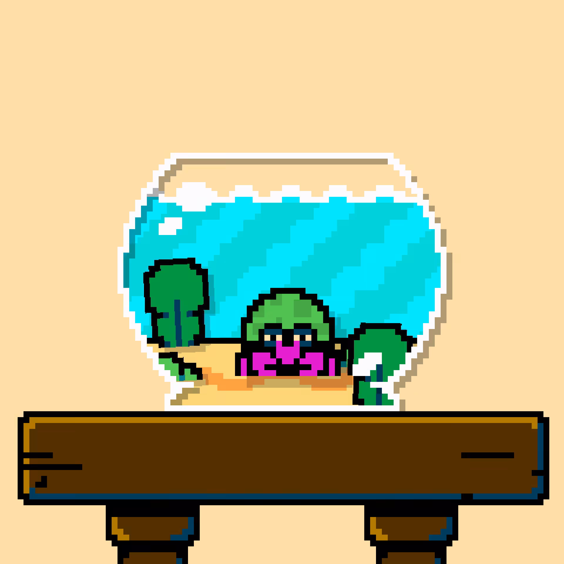 hermit crab #29