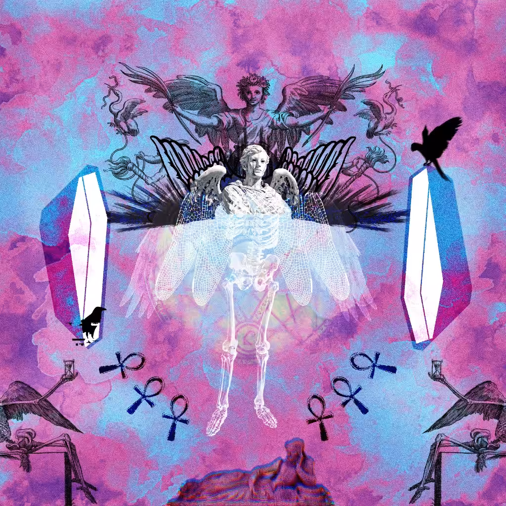 APEX N ASCENSION 